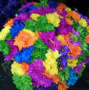 Meet your Posher, Sasha